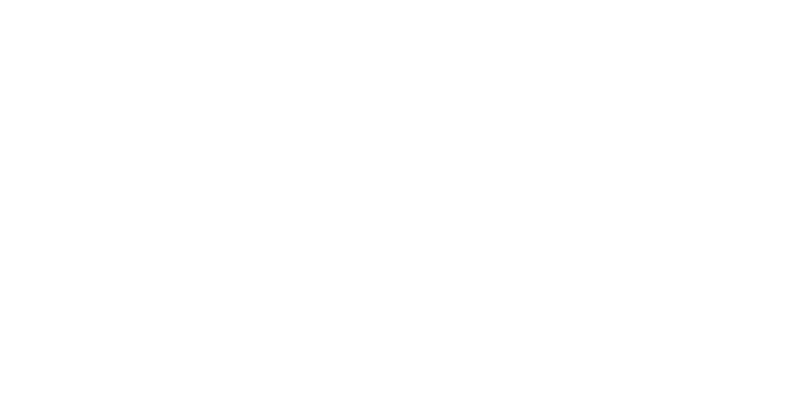 AXIOM - FPV Drone Services